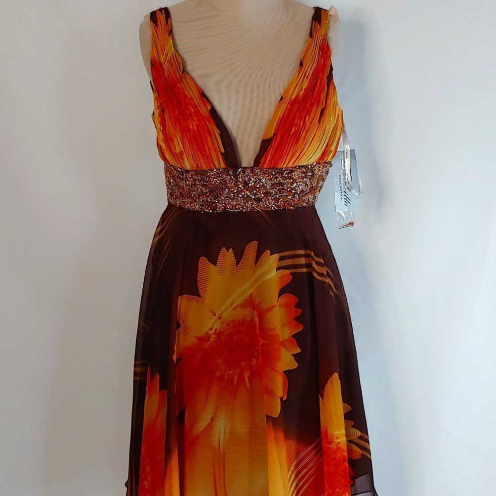 (33) New Priscilla Collection Beaded Floral Sun Dress